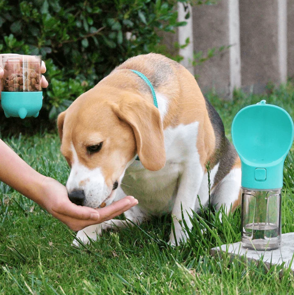 The 4-in-1 Pet Bottle